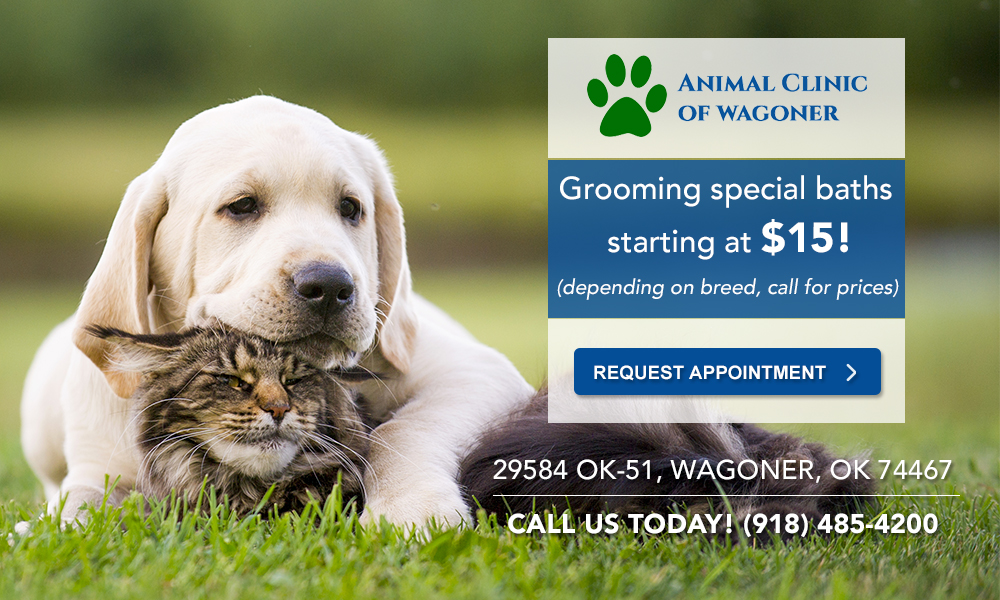 Animal Clinic of Wagoner_Grooming