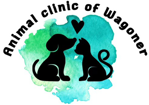 Veterinarian Near Me - Contact Us | Animal Clinic of Wagoner