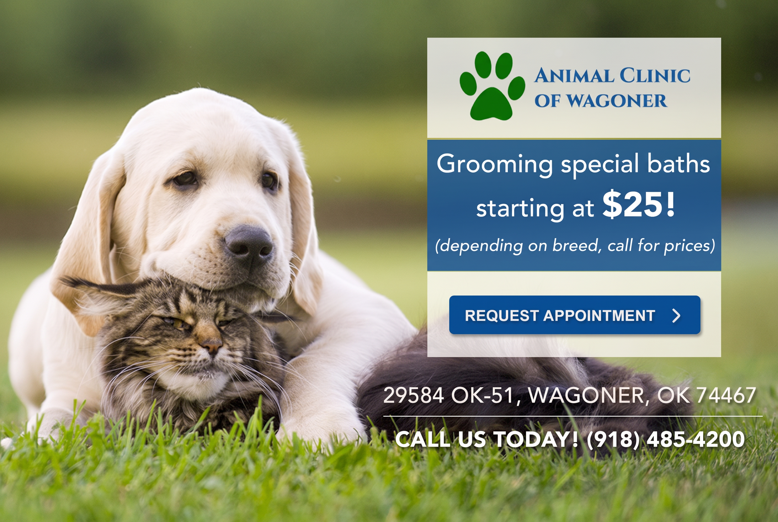 Animal Clinic of Wagoner_Grooming